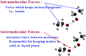 Interintramolcforces Gif 500 330 Teaching Chemistry Intermolecular Force High School Chemistry