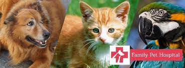 9 am to 7:30 pm. Family Pet Hospital Home Facebook