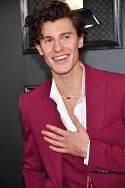 Build A Disney Family And We Ll Reveal If You Should Be With Tom Holland Or Shawn Mendes In 2020 Shawn Mendes Family Shawn Mendes Mendes