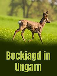 Bockjagd In Ungarn Bockjagd Ungarn Ungarn Jagd Weltrekorde