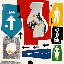 The surrogate mother may be the child's genetic mother (the more traditional form of surrogacy). What To Know Before Your Surrogacy Journey The New York Times