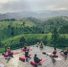 Maybe you would like to learn more about one of these? Best Yoga Retreat 2021 My Top Pick Mostly Amelie