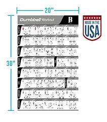 Laminated Dumbbell Workout Poster For Home Gym Made In Usa Total Gym Exercise Chart Fitness Posters To Build Muscle Weight Lifting And