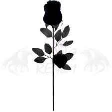 The fuzzy black ink of the petals has been etched in with a wide gauge needle. Pin On Things To Wear