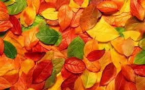 Herfst Achtergrond Met Herfstbladeren Achtergrond Wallpapers Herfstbladeren Natuur Behang Herfst