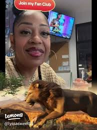 Join the Maverick Fan Club: Celebrate Unforgettable Moments