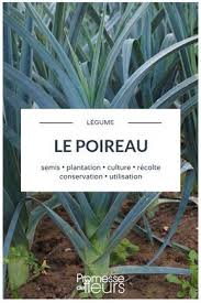 Leeks Sowing Planting Cultivating Harvesting In 2020 Potager Garden Plants Gardening Blog