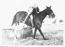 Cavalryman of the British Indian Army.