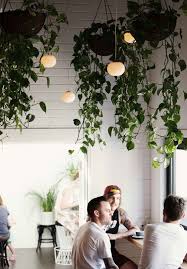 Hanging your own plants is a quick, easy project. How To Hang Plants From Ceiling And Walls A Nest With A Yard