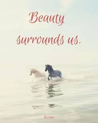 Don't forget to confirm subscription in your email. Super Birthday Wishes Beautiful Rumi Quotes 41 Ideas Rumi Quotes Rumi Birthday Wishes Quotes