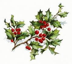 Free Vintage Image Holly And Berries Old Design Shop Blog Christmas Flowers Christmas Watercolor Christmas Graphics