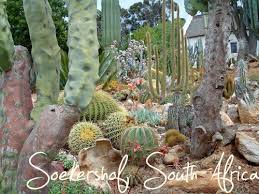 Come to bloomingdales garden centre and be inspired by the wide variety of indigenous and exotic plants and so much. Free Download Garden Design In Durban Kzn South Africa Home And Garden Wallpaper 500x375 For Your Desktop Mobile Tablet Explore 49 Decor Wallpaper South Africa African Wallpaper For Walls