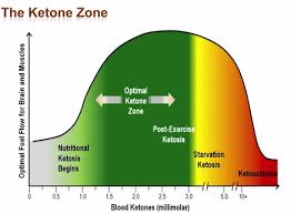 Interpreting My Ketostix Readings Am I Overdoing It