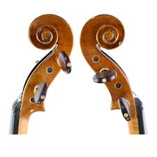 Image result for Viola