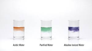 Why that fancy bottled water isn't so when someone drinks this water that's created in the correct way, that has these components of the ionized water, what is that doing in the body? Alkaline Ionized Water Practical Test Ph Youtube