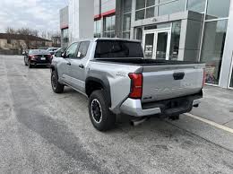 Image result for Celestial Silver 2024 TX