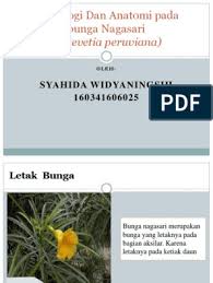 We did not find results for: Morfologi Dan Anatomi Pada Bunga Thevetia Peruviana