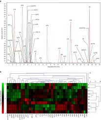 Recessed lighting fixtures kitsune udon translation biology. Trna Mediated Codon Biased Translation In Mycobacterial Hypoxic Persistence Nature Communications
