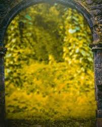 Download option share option save option. Danish Zehen Cb Backgrounds Download Free 2018 Latest Cb Backgrounds Stock 2018 Backgroundvsp Picsart Background Blur Photo Background Background Images Hd