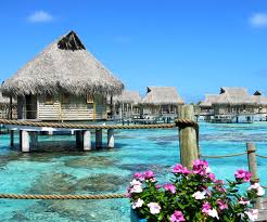 Garcia da orta, in a conversational book first published in 1563, writes as follows: Traveltips Maldives Or Tahiti Camila Coelho
