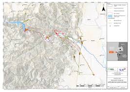 Image result for Vernonia melanocoma