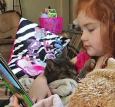 A Tiny Cat Heals Hearts