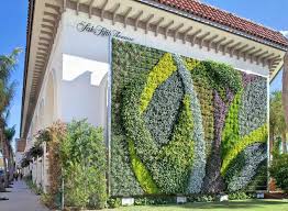 They are often used to create a shield from the sun. Best Green Walls In The World