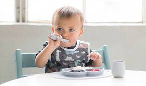 We did not find results for: How To Teach Your Toddler To Self Feed Powermums