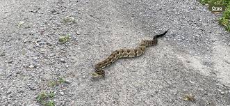 Belding & Mull Inc. added a new photo.