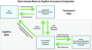 Some types of insurance premiums are liable for gst (such as fire and general insurance). Captive Insurance 101 Everything You Need To Know About Captive Insurance After Inc