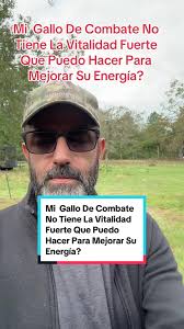 Vitaminochock Gallos Finos