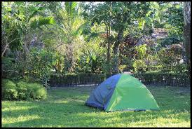 > caribbean countries 加勒比國家 > dominica 多米尼克 > antigua & barbuda 安提瓜和巴布達 > st. å—å¤ªå¹³æ´‹æµæµªæ—…ç¨‹ii è¬é‚£æœvanuatuæŽ¢ç´¢ä¸–ç•Œä¸Šæœ€å¿«æ¨‚çš„åœ‹å®¶ å°‹è¨ªæœ€ç¨ç‰¹çš„æ´»ç«å±±å¥‡æ™¯ å°ç››çš„æµæµªæ—…ç¨‹