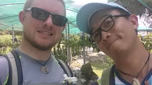 review: Kuching orchid garden