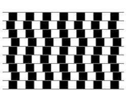 Image result for illusion pictures