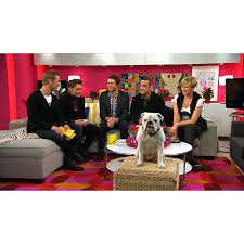 Jacqueline beyer ist gründerin von kanarenhunde e.v. und hat das ziel, die tiere nach deutschland zu. Take That Mit Robbie Williams Im Sat 1 Fruhstucksfernsehen Newsmedienmilch