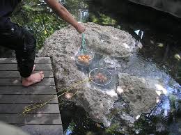 Perasmian air panas sg klah. Boil Some Eggs Here Picture Of Felda Residence Hot Spings Sungkai Tripadvisor