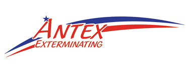 General pest control new braunfels, tx. Pest Control In Fayetteville Nc Antex Exterminating Co Inc