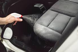 Lightly spray the solution over the area that you want to clean. How To Get Mold Out Of Car Interior And Carpet Carcarehunt