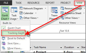 Bug In Tracking Gantt View In Ms Project 2013 Nenad Trajkovski