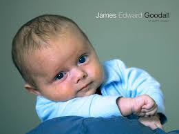 Edward Goodall's Instagram, Twitter & Facebook