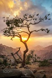 مختصرات الشفا ثالثاً أحاديث الشفا رابعاً: Ù…Ø¯ÙŠÙ†Ø© Ø§Ù„Ø·Ø§Ø¦Ù Ø§Ù„Ø´ÙØ§ By Sultan Althubiti On 500px Taif Saudi Arabia Taif Landscape Travel
