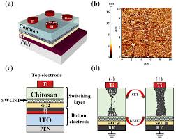PGS. TS. Phạm Kim Ngọc