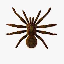 Spider 3d Model Ad Spider Model Vector Patterns Design 3d Model Spider