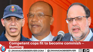 New commissioner wanted for active FiveM server police department