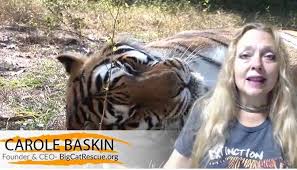 The mission is to educate the public about current animal issues, foster appreciation and to stress the importance of habitat. Big Cat Rescue Carole Baskin Founder Ceo Big Cat Facebook