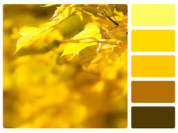 See full list on graf1x.com Courgette Yellow Color Monochromatic Color Scheme Color Schemes Colour Palettes Maroon Color Palette