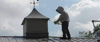 5900 som center rd cleveland, oh 44102. Chagrin Valley Pest Control Voted 1 Pest Control In Ohio
