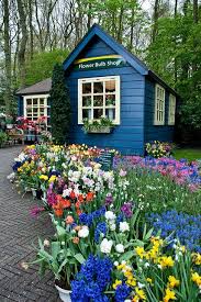 Flower Shop Beautiful Gardens Cottage Garden Modern Garden