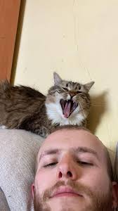 We can still hold back our laughter, but we can't hold back our pee #lol