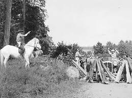Hochzeit Auf Immenhof 1956 Mit Bildern Alte Filme Hof Filme Klassiker